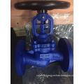 DIN Standard Bellow Seal Globe Valve